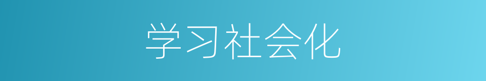 学习社会化的同义词