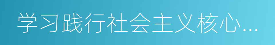 学习践行社会主义核心价值观的同义词