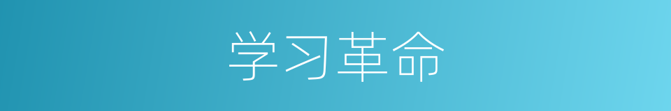 学习革命的同义词