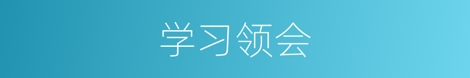 学习领会的同义词