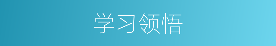 学习领悟的同义词
