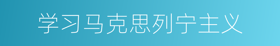 学习马克思列宁主义的同义词