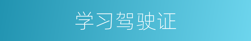 学习驾驶证的同义词