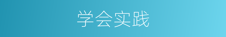 学会实践的同义词