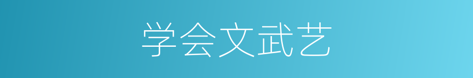 学会文武艺的同义词