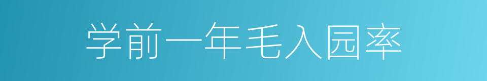 学前一年毛入园率的同义词