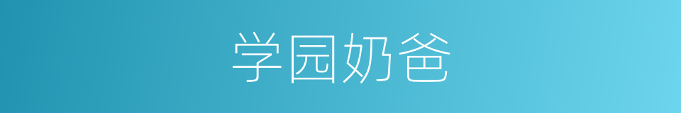 学园奶爸的同义词