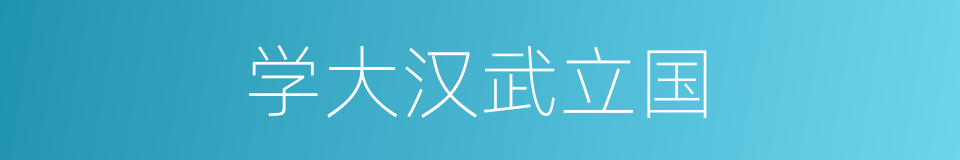 学大汉武立国的同义词