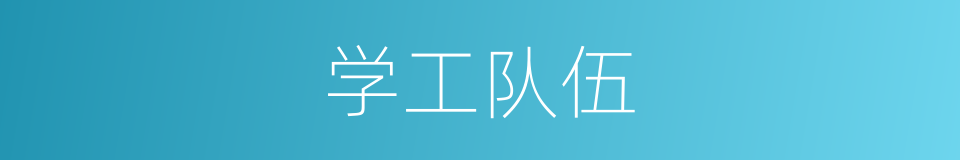 学工队伍的同义词