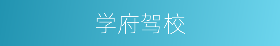 学府驾校的同义词