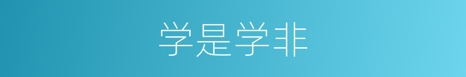 学是学非的同义词
