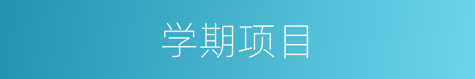 学期项目的同义词