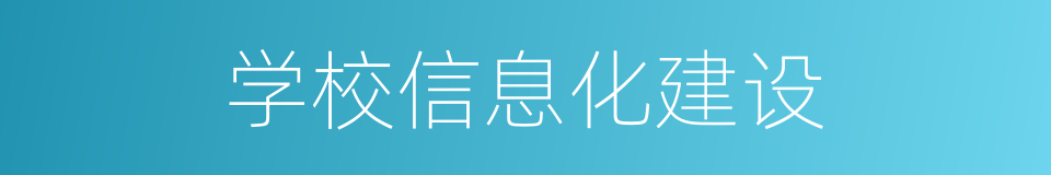 学校信息化建设的同义词