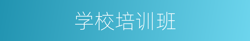 学校培训班的同义词