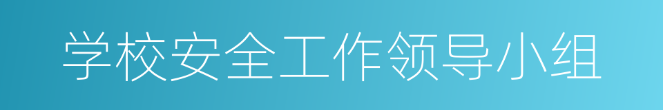 学校安全工作领导小组的同义词