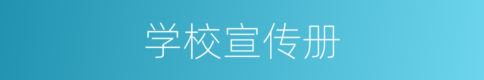 学校宣传册的同义词