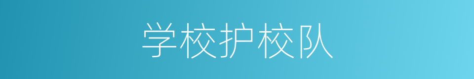 学校护校队的同义词