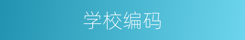 学校编码的同义词