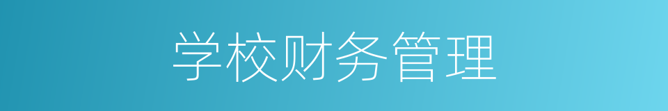 学校财务管理的同义词