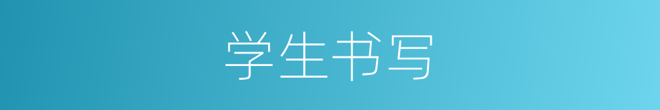 学生书写的意思