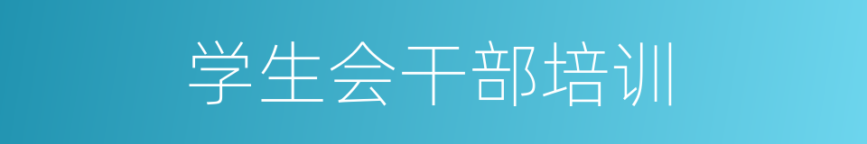 学生会干部培训的同义词