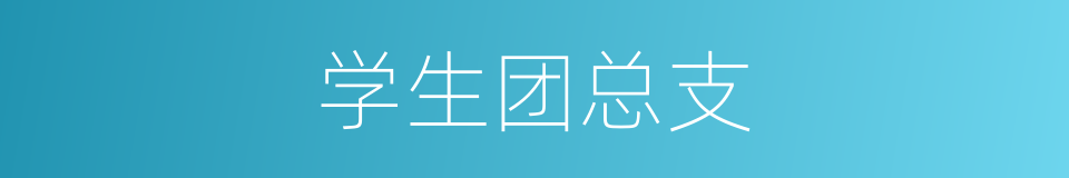 学生团总支的同义词
