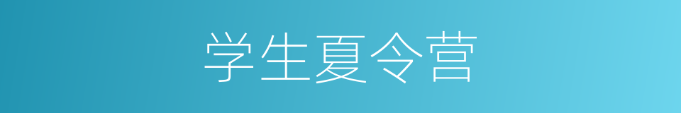 学生夏令营的同义词