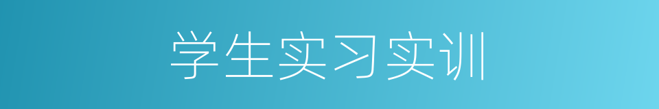 学生实习实训的同义词