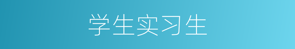 学生实习生的同义词