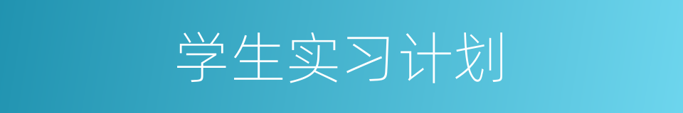 学生实习计划的同义词