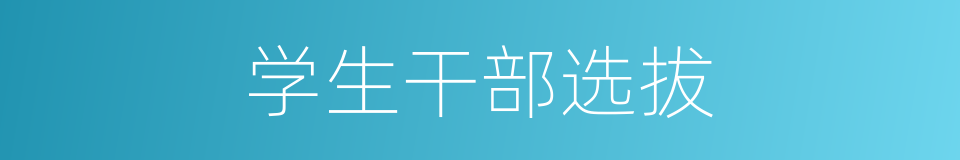 学生干部选拔的同义词