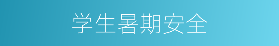 学生暑期安全的同义词
