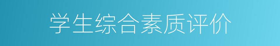 学生综合素质评价的同义词
