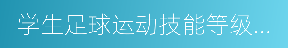 学生足球运动技能等级评定标准的同义词