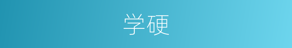学硬的同义词