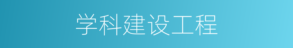 学科建设工程的同义词