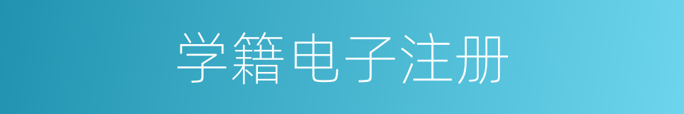 学籍电子注册的同义词
