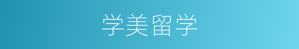 学美留学的同义词