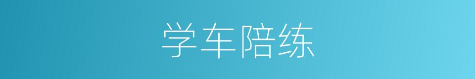 学车陪练的同义词