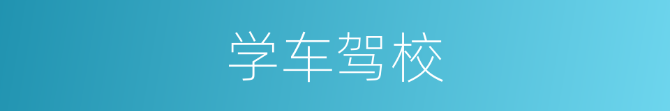 学车驾校的同义词