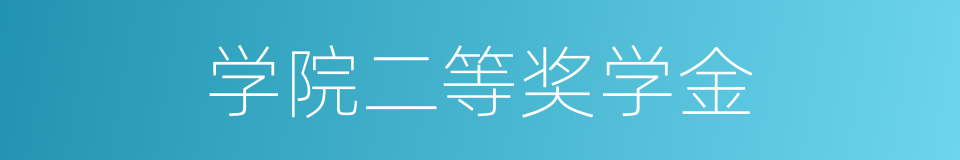 学院二等奖学金的同义词