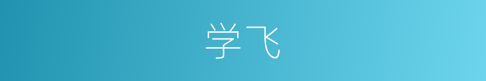 学飞的同义词