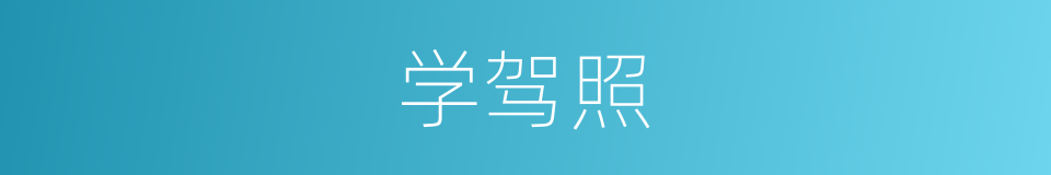 学驾照的同义词