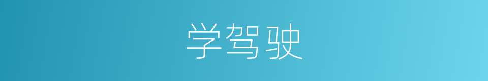 学驾驶的同义词