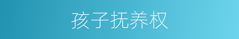 孩子抚养权的同义词
