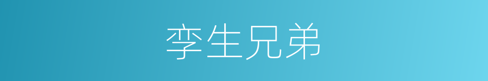 孪生兄弟的意思