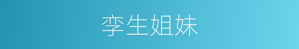孪生姐妹的意思