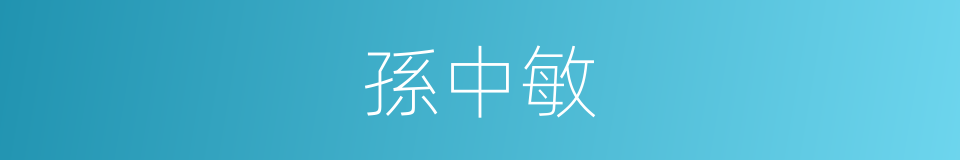 孫中敏的同義詞
