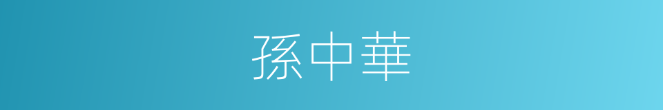 孫中華的同義詞