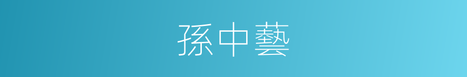 孫中藝的同義詞